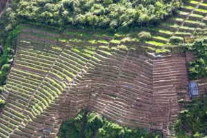 choquequirao Terraces