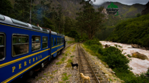 Transporte OLLANTAYTAMBO TREN Nickey travel