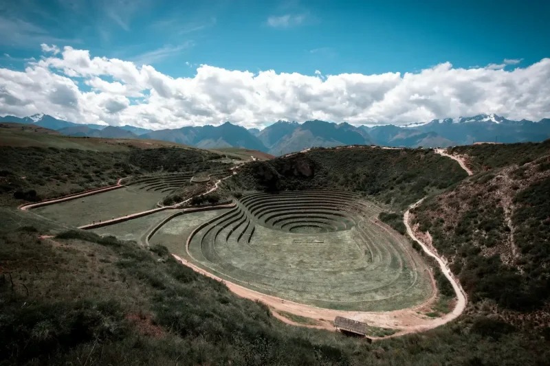moray